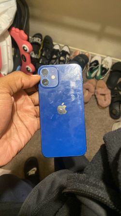 12 mini
