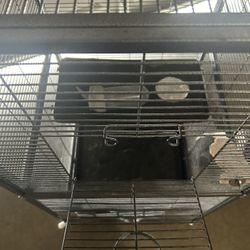 Chinchilla Cage