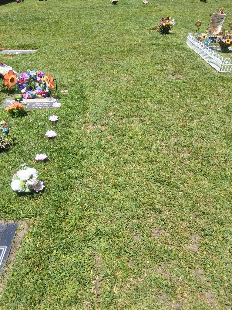 Memorial Space For Sale
