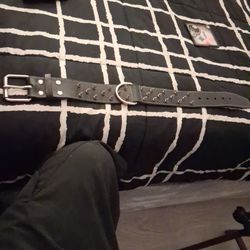 DOG SPIKE COLLAR XL..