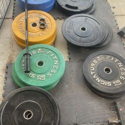 Workout Set Up 