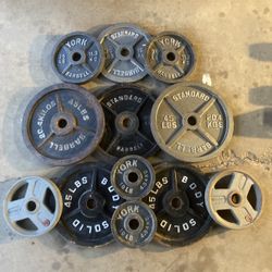 Gym - Assorted Olympic Weight Plates