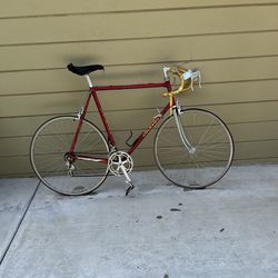 Vintage Colnago Road Bike