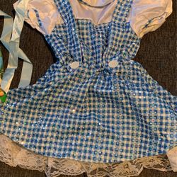 Dorothy Wizard Of Oz