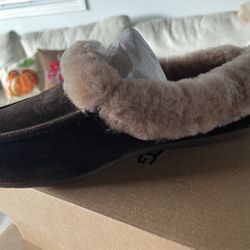 Original Uggs New 