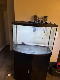 40 gallon saltwater fish tank