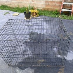 Dog Cage Size XL