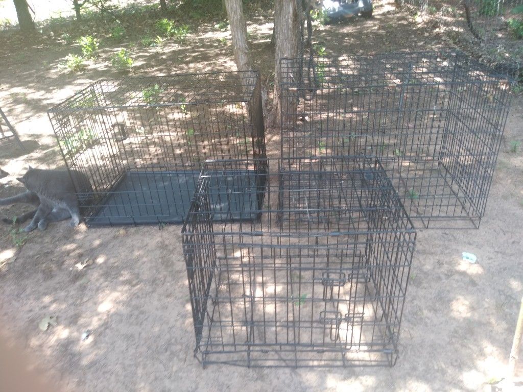 3 Dog crates-$20-25ea
