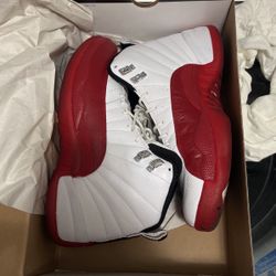 Air Jordan Retro 12