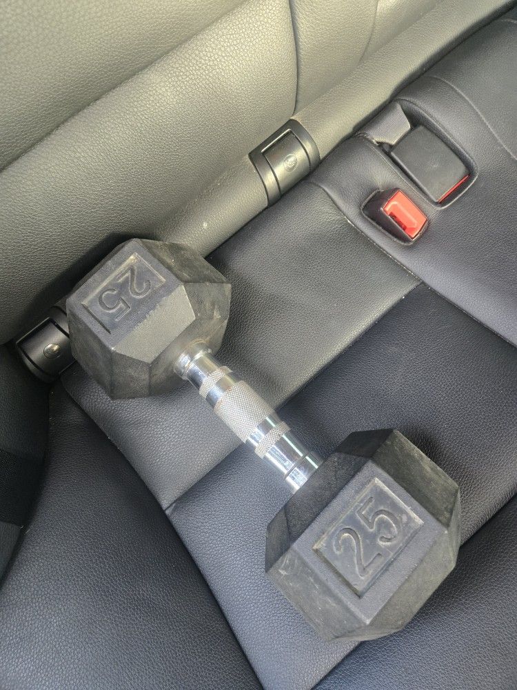 Single 25 LB Dumbbell