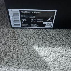 Air Jordan 12 Retro