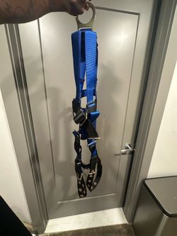 Harness and yoyo