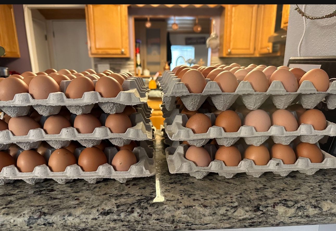 Huevos De Rancho/ Fresh Farm Eggs