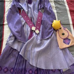 Disney Wish Costume