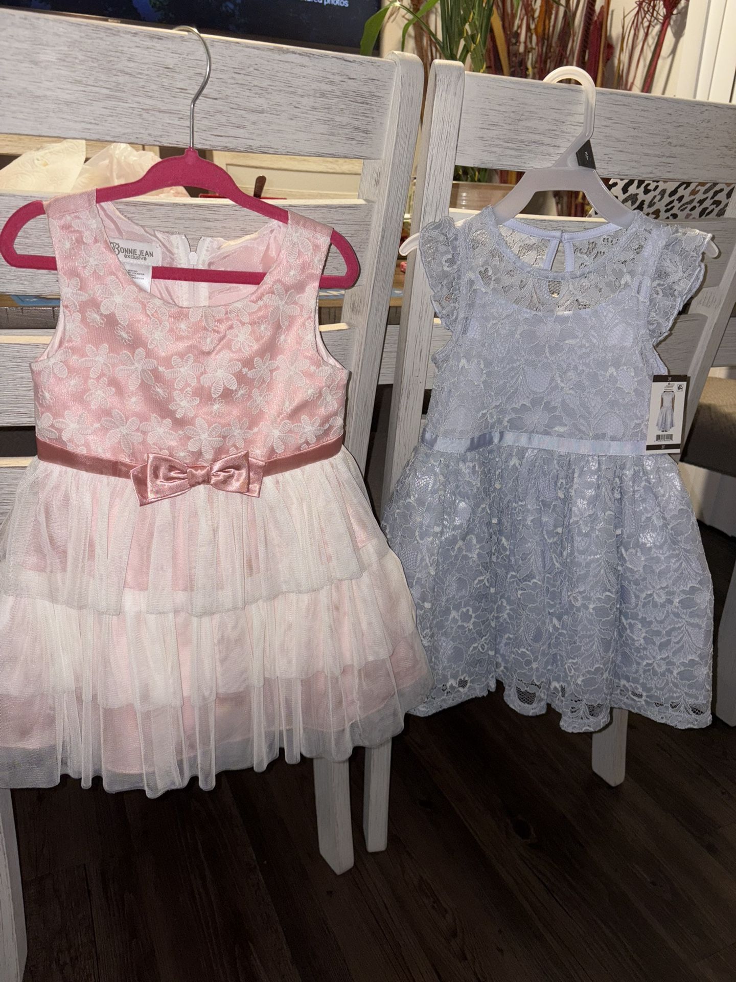 3t Girl Dresses (NEW)