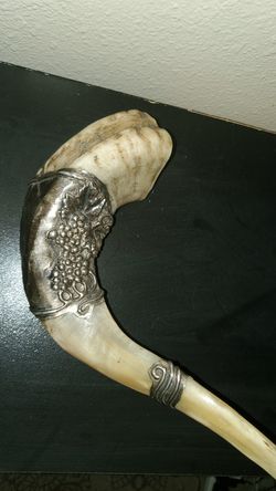 Horn