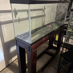 Fish Tank 