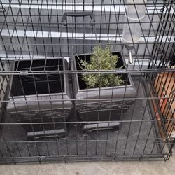 Dog Cage 2x3 With Water Bottle Feeder