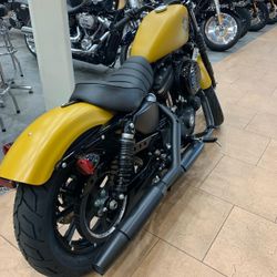 2019 Harley davidson 883 iron