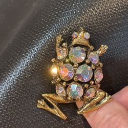aurora borealis frog pin