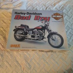 Harley Davidson Model And Flag