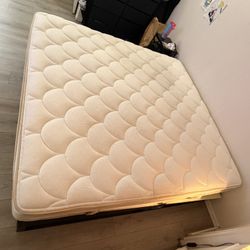 Mattress & Bed Frame 