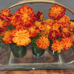 Flower Arrangement 