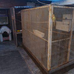 Jaula Para Cacatúas Y Loverbirs Disponibles