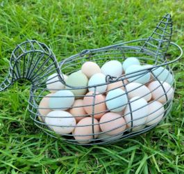 FARM FRESH EGGS (EUSTIS)