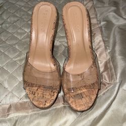Clear Wedge Heel
