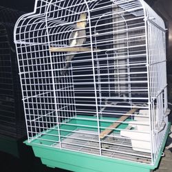 Bird Cage 