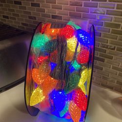 Outdoor Christmas Lights