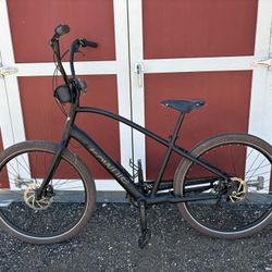 Electra Townie Electric Bicycle