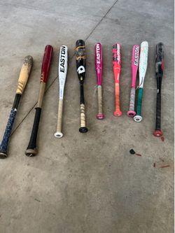Bats