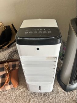 Air cooler with ice packs