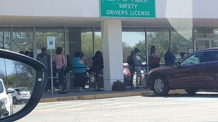 Car smell removal any smell,