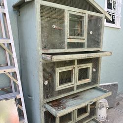 Bird Cage