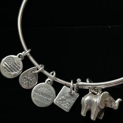 Alex & Ani Bracelet 