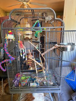 Bird cages/macaw cage