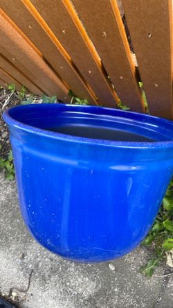 Big plant pot