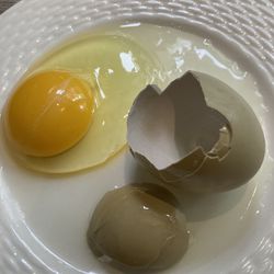 Eggs 🐥
