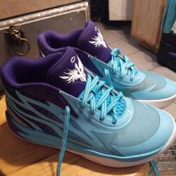 Lamello Ball Size 5 Boys Shoe Puma