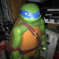 Ninja Turtle 