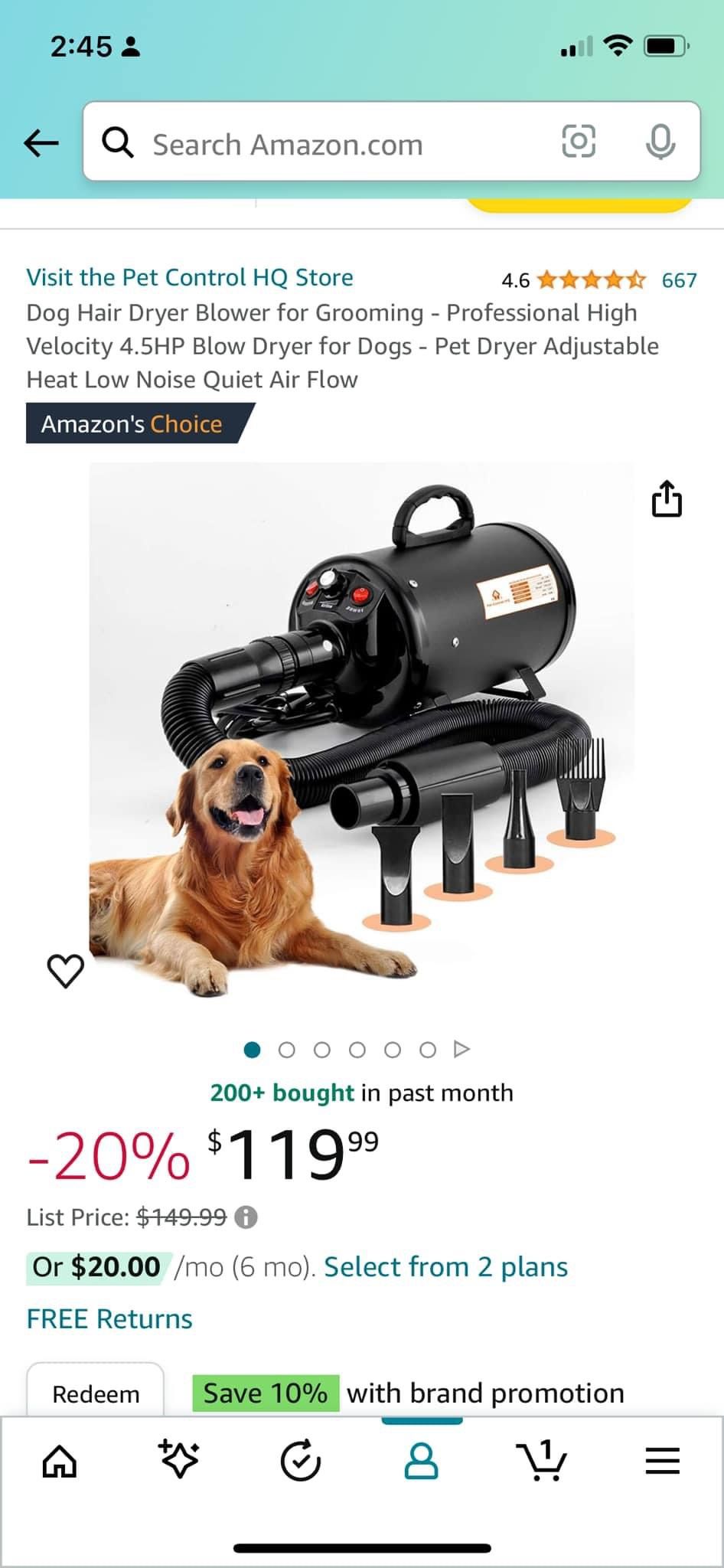 Dog Grooming
