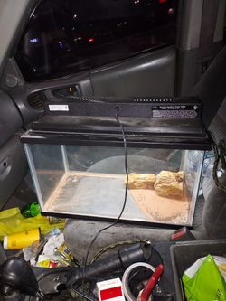 Aquarium Terrarium