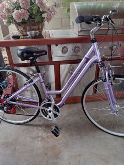 Nice Bike diamondbacks vital two tires size 700c