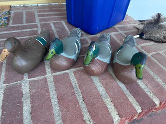 Antique Wood Duck Decoys