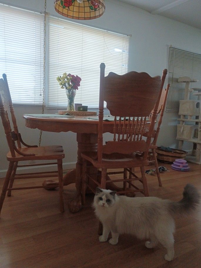 Kitchen Table 4 Chairs