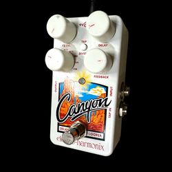 Canyon Guitar Delay & Looper