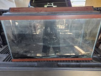 40 Gallon Aquarium